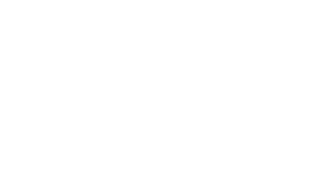SERMEC II logo